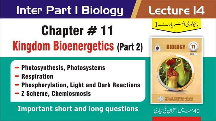 11th Class Biology Chapter 11 Bioenergetics Part 2 Half